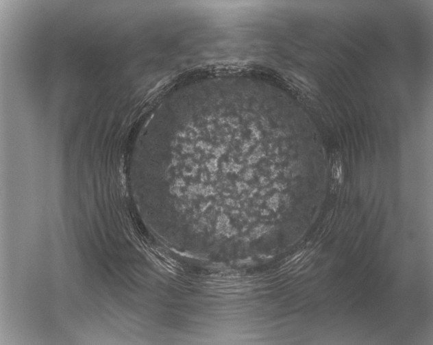 X0000056321252200509161634