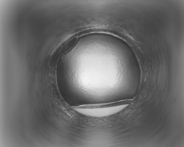 X0000056321255200509161634