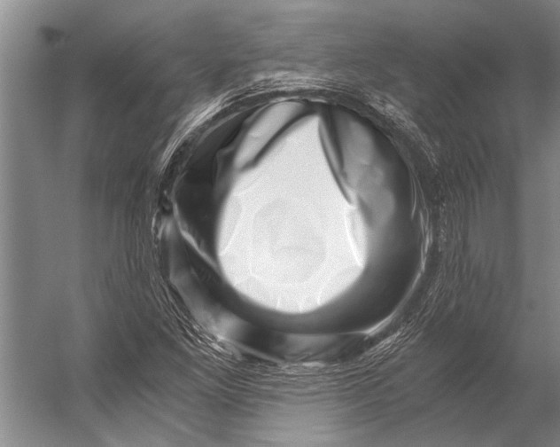 X0000056321261200509161634