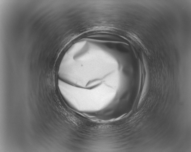 X0000056321268200509161634
