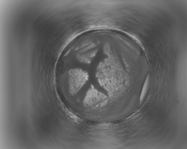 X0000056321279200509161634