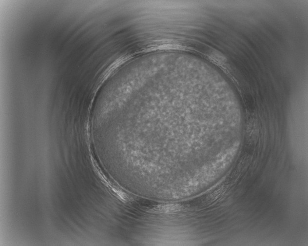 X0000056321282200509161633