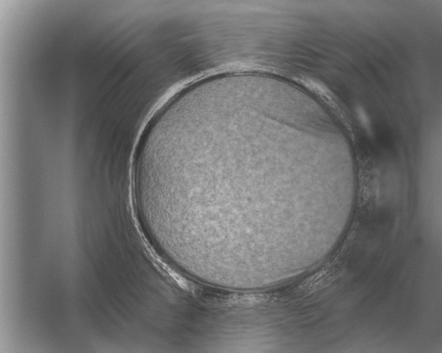 X0000056321286200509161633