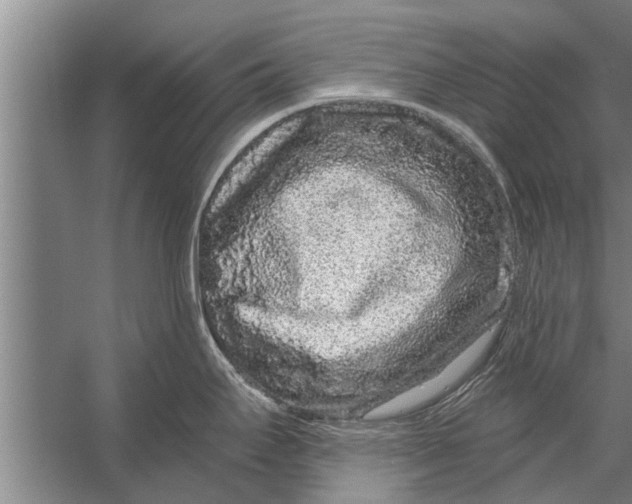 X0000056321295200509161633