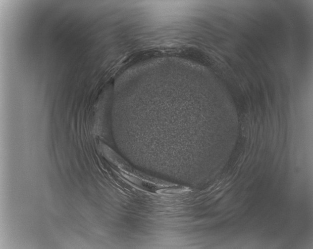X0000056321298200509161632