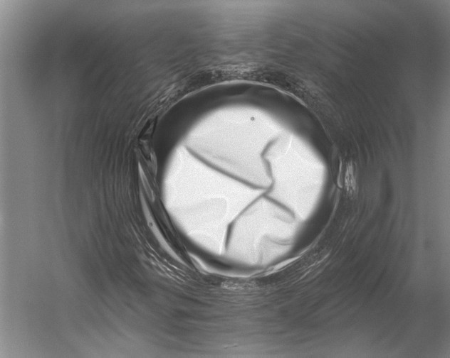 X0000056321299200509161632