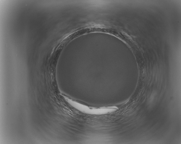 X0000056321303200509161633