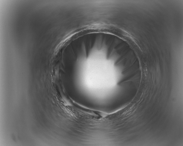 X0000056321304200509161633