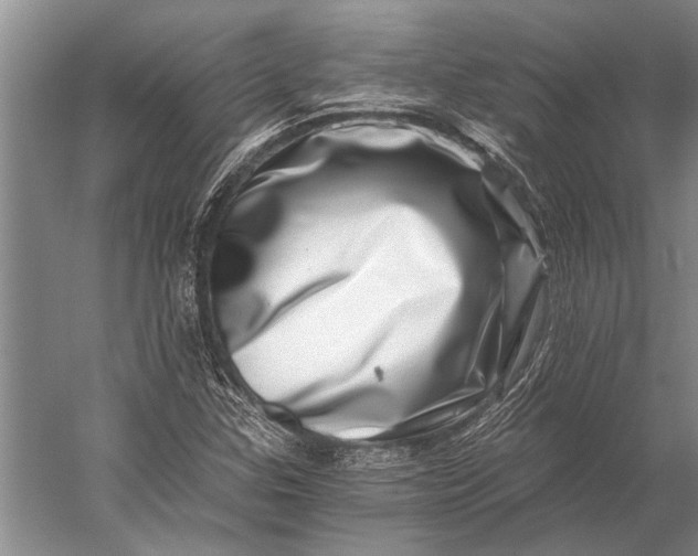 X0000056321307200509161633