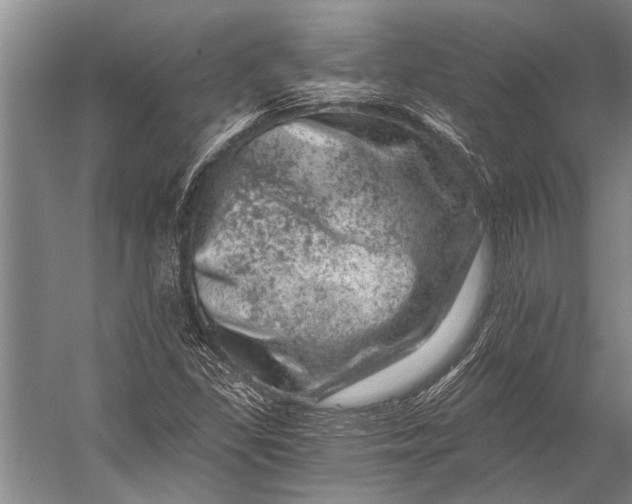 X0000056321309200509161633