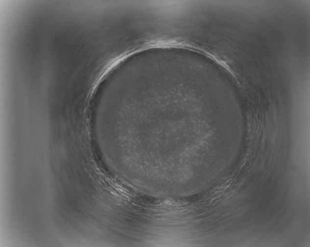 X0000056321311200509161633