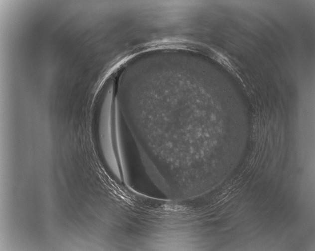 X0000056321312200509161633