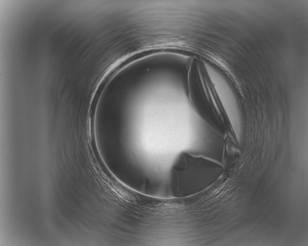 X0000056321324200509161633