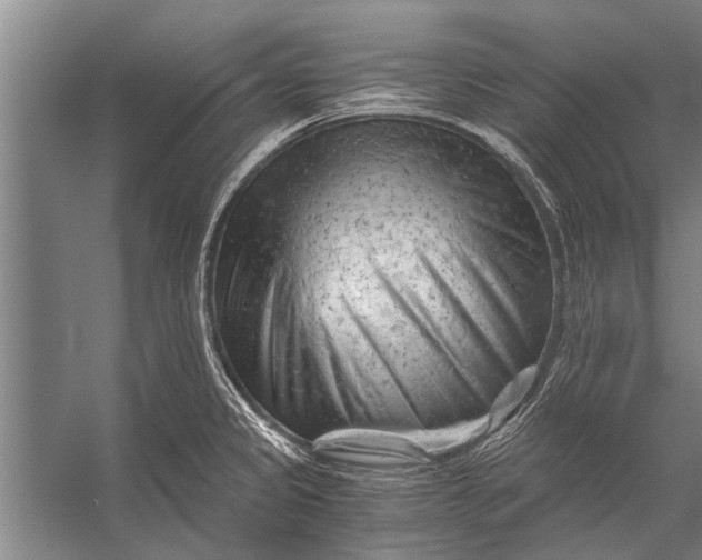 X0000056321333200509161633