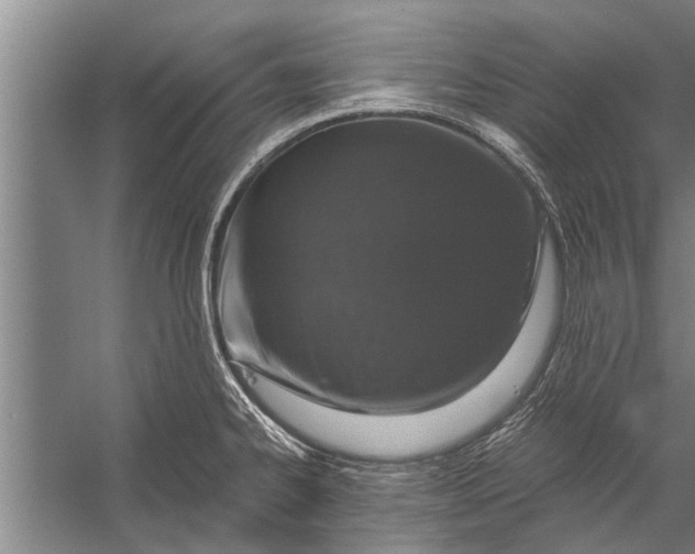 X0000056321334200509161633