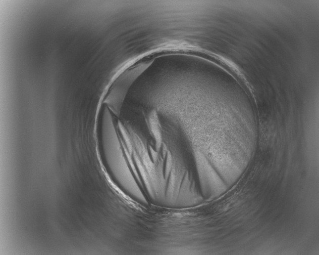 X0000056321335200509161633