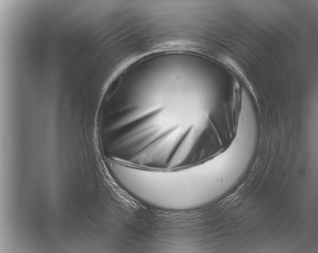 X0000056321336200509161633