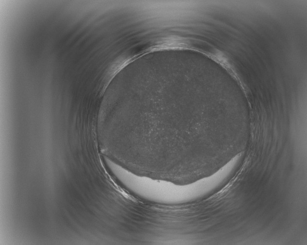 X0000056321337200509161633