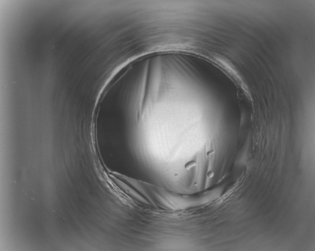 X0000056321340200509161633