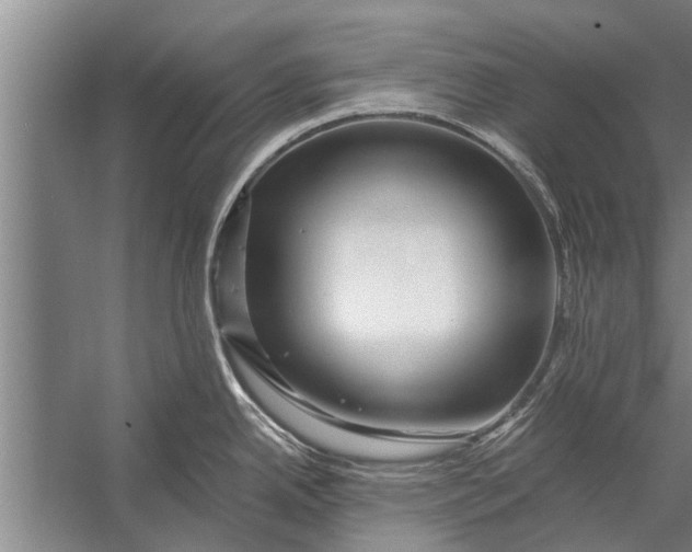 X0000056321342200509161633