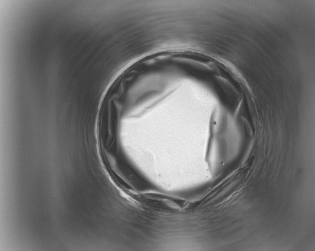 X0000056321343200509161633