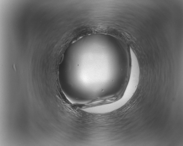 X0000056321345200509161632