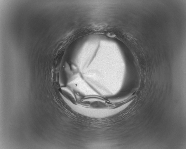 X0000056321349200509161632