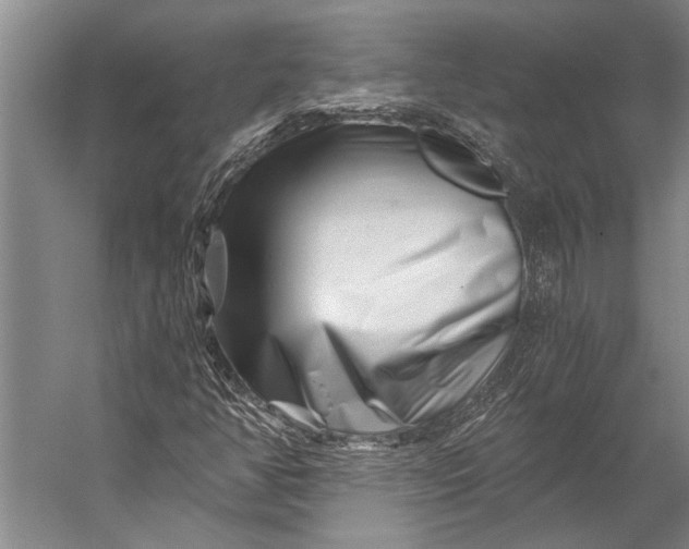 X0000056321350200509161632