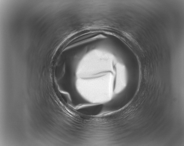 X0000056321356200509161632