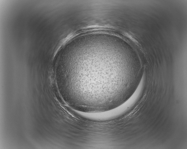 X0000056321357200509161632