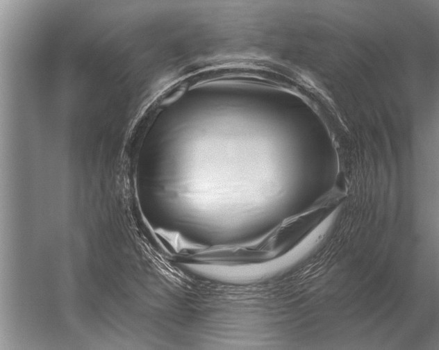 X0000056321360200509161632