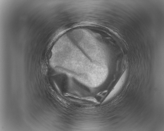 X0000056321363200509161632