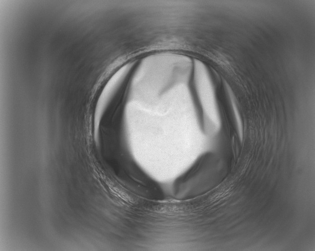 X0000056321366200509161632