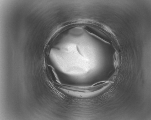 X0000056321368200509161632