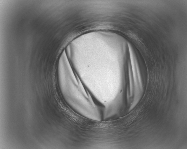 X0000056321374200509161632