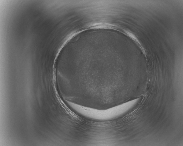 X0000056321376200509161632