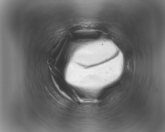 X0000056321396200509161631