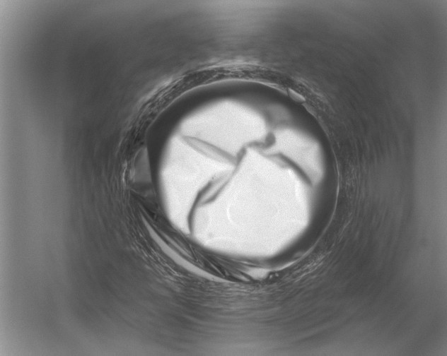 X0000056321398200509161631