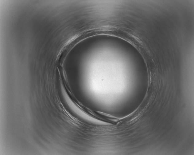 X0000056321402200509161631