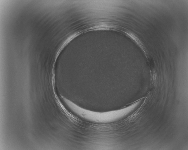 X0000056321418200509161631