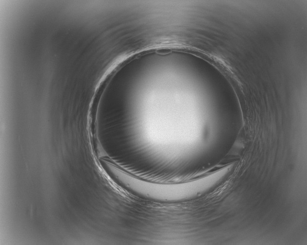 X0000056321422200509161631