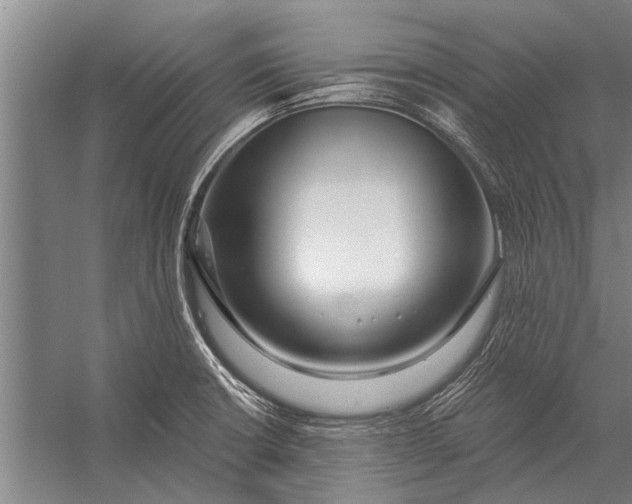 X0000056321426200509161631