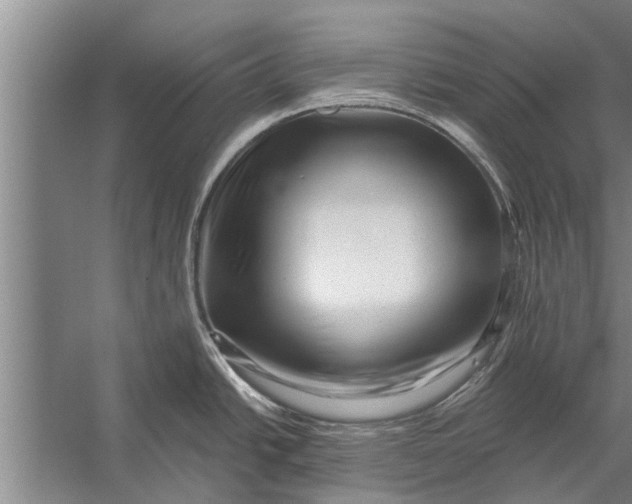 X0000056321438200509161632