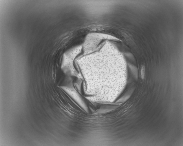 X0000056321444200509161631