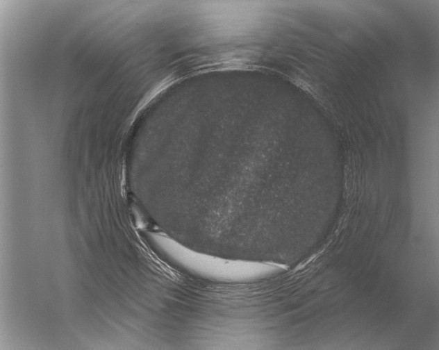 X0000056321450200509161631