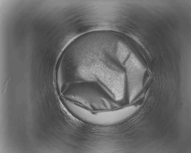 X0000056321468200509161630