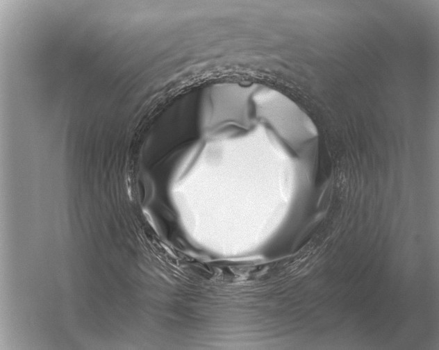 X0000056321490200509161629
