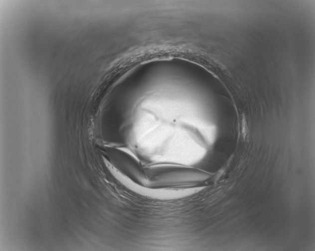 X0000056321492200509161629