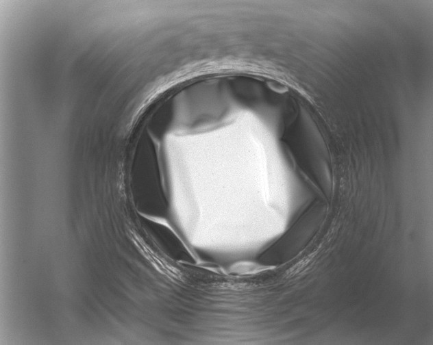 X0000056321499200509161629