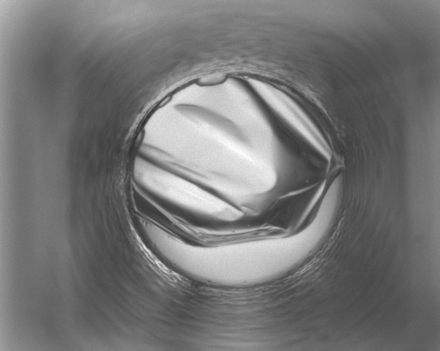 X0000056321500200509161629